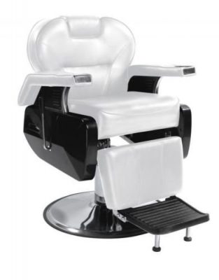 Spa Barber Chairs